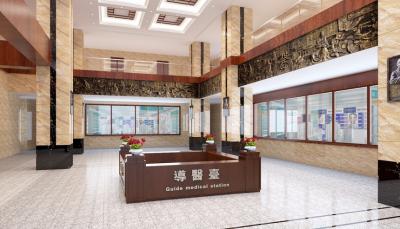 樂(lè)山中醫(yī)院大廳大廳文化